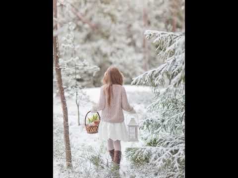 Nanikebis himni  ზამთრის თეთრ ღამეში (\'ნანიკების\' ჰიმნი)